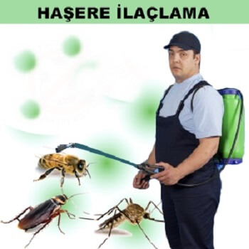 Adaklı Böcek İlaçlama